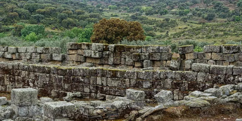 This image depicts an ancient stone wall structure surrounded by a lush, forested landscape. The wall is constructed from large, weathered stone blocks that have a mossy, aged appearance. A small shrub or tree can be seen growing atop the wall, adding a touch of greenery to the scene. The landscape behind the wall is filled with dense foliage, including various shades of green trees and bushes, creating a picturesque, natural setting. The overall image conveys a sense of history and the enduring presence of this stone structure amidst the thriving natural environment.