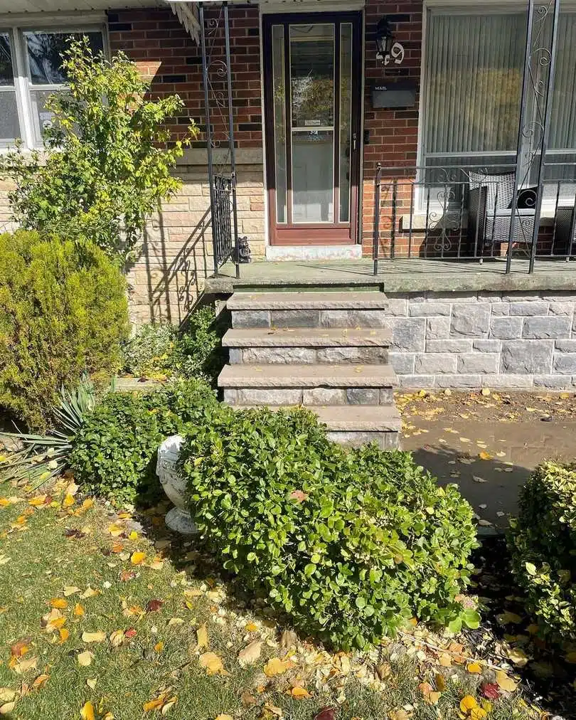 This image shows the front entrance of a brick house The entrance has a set of stone steps leading up to a glass front door The steps are surrounded by lush greenery including a large bush or shrub in the foreground There are also some fallen yellow leaves on the ground around the steps indicating its likely autumn The house has a porch with decorative wrought-iron railings and there are some potted plants or greenery visible on the porch as well The overall scene conveys a cozy well-maintained residential property