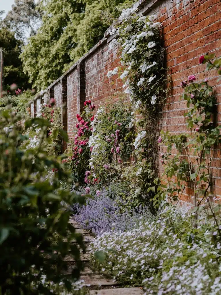 This image depicts a lush overgrown garden wall The brick wall is covered in a variety of climbing vines and flowers including white blossoms and vibrant pink flowers The greenery cascades down the wall creating a beautiful natural aesthetic The surrounding foliage including trees and other plants adds to the serene garden-like atmosphere The overall impression is one of a charming well-tended outdoor space